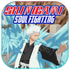 Shinigami Soul Society Sword Fighting