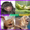 Funny Animal Guesser