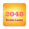 Brain Game 2048玩不了怎么办