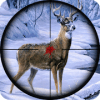 Sniper Animal Shooting 3D:Wild Animal Hunting Game无法安装怎么办