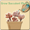 Grow plant