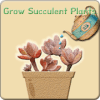 游戏下载Grow plant