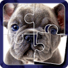 Picture Puzzle: Free Jigsaw Memory Game玩不了怎么办