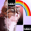 Kitty Rainbow Piano Tiles