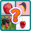 Fruits Picture Quiz