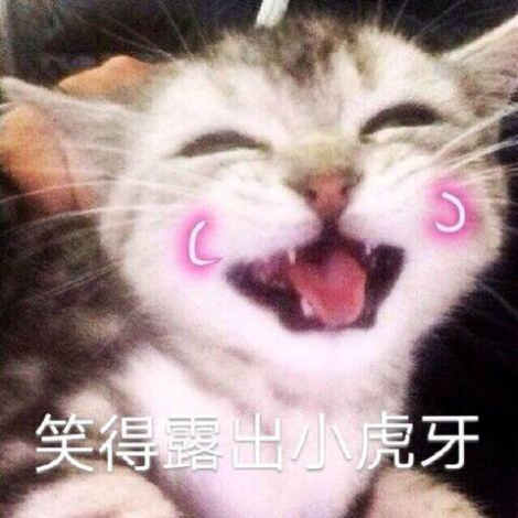 《嘣次元》萌新初体验！