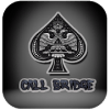 Call Bridge Spades Card