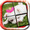 Puppy Slide Puzzle: baby animal free slider puzzle