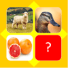 Guess picture name quiz