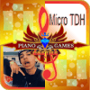 Micro TDH Piano Game Songs Lyrics无法打开