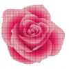 Draw Flower in Pixel art coloring by Number