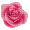 Draw Flower in Pixel art coloring by Number安卓版下载