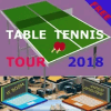 TABLE TENNIS TOUR 2018安卓版下载