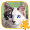 Jigsaw Puzzles Cat Games如何升级版本