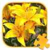 Jigsaw Puzzles Flowers Games