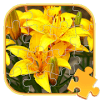 Jigsaw Puzzles Flowers Games安卓手机版下载