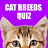 Cat Breeds Quiz