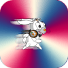 Rabbit Run - Bunny Rabbit Game