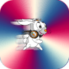 Rabbit Run - Bunny Rabbit Gameiphone版下载