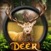 Deer Hunting in 3D Jungle