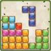 Block Puzzle Jewel 2019