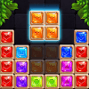Puzzle Block Diamond Master
