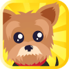Yorkie Jump版本更新