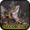 Hidden Object - June Gloom