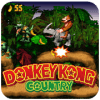 SNES Dnkey Kong country Adventure
