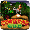 SNES Dnkey Kong country Adventure下载地址