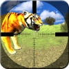 游戏下载Safari Animals Hunting Sniper Shooter Lion Hunting