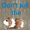 Don't kill the guinea pig