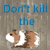 Don't kill the guinea pig最新版下载