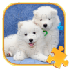 Cute Dogs Jigsaw Puzzle Game费流量吗