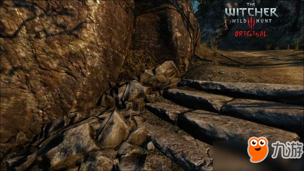《巫师3》高清MOD新版本截图 画面更为真实，如同照片