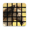 Beautiful Horse Tile Puzzle Game