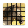 Beautiful Horse Tile Puzzle Game安全下载