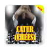 Catur (Chees) 2018玩不了怎么办