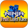 Ninja Fruit Lines Race