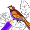 Birds Coloring Book绿色版下载