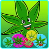 Kush Match版本更新