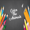 Color The Animals无法打开