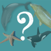 quizz animaux aquatiques