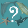 quizz animaux aquatiques破解版下载