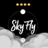 SkyFly 2D怎么下载到手机