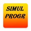 SIMULPROGR - Programmer simulator