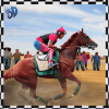 Derby Horse 3D Championship占内存小吗