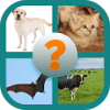 Guess The Name (Puzzle Game For Kids)最新版下载