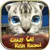 Crazy Cat Rush Racing Run Kitty Craft手机版下载