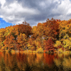 Autumn Beautiful Jigsaw Puzzles Free